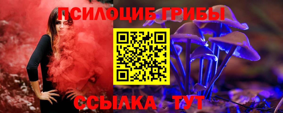 Коркино  Псилоцибиновые грибы Magic Shrooms  Вход с VPN  Псилоцибиновые грибы прущие грибы 