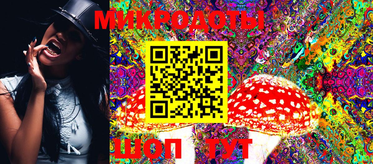 Галлюциногенные грибы мухоморы Коркино